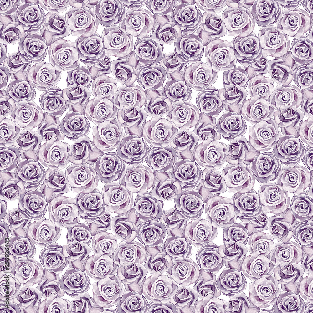 Watercolor hand painted botany gentle purple roses blossom illustration seamless pattern Watercolor hand painted botany gentle purple roses blossom illustration seamless pattern