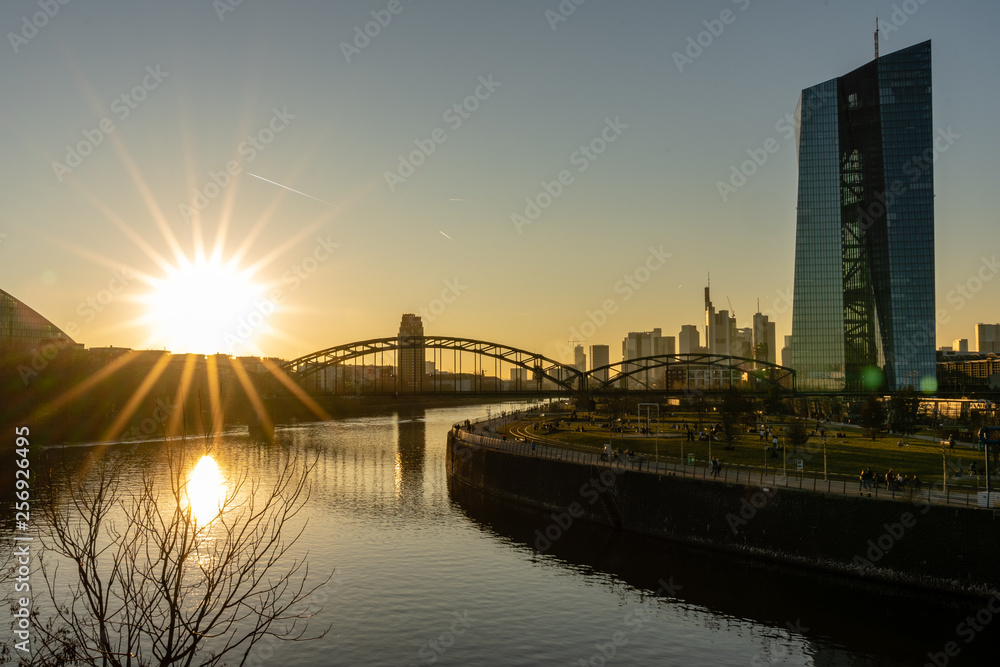 Fototapeta premium frankfurt skyline at sunset