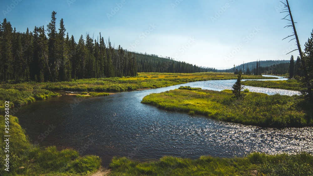 River River