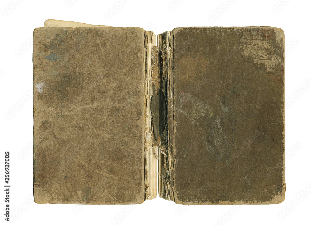 Naklejka premium Grunge old retro book texture background