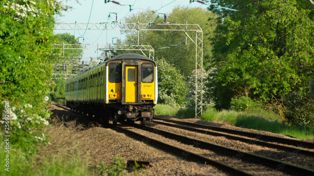 Fototapeta premium English Yellow Face train on branch line in hertfordshire