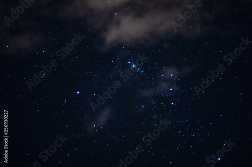 céu noturno estrelas photo