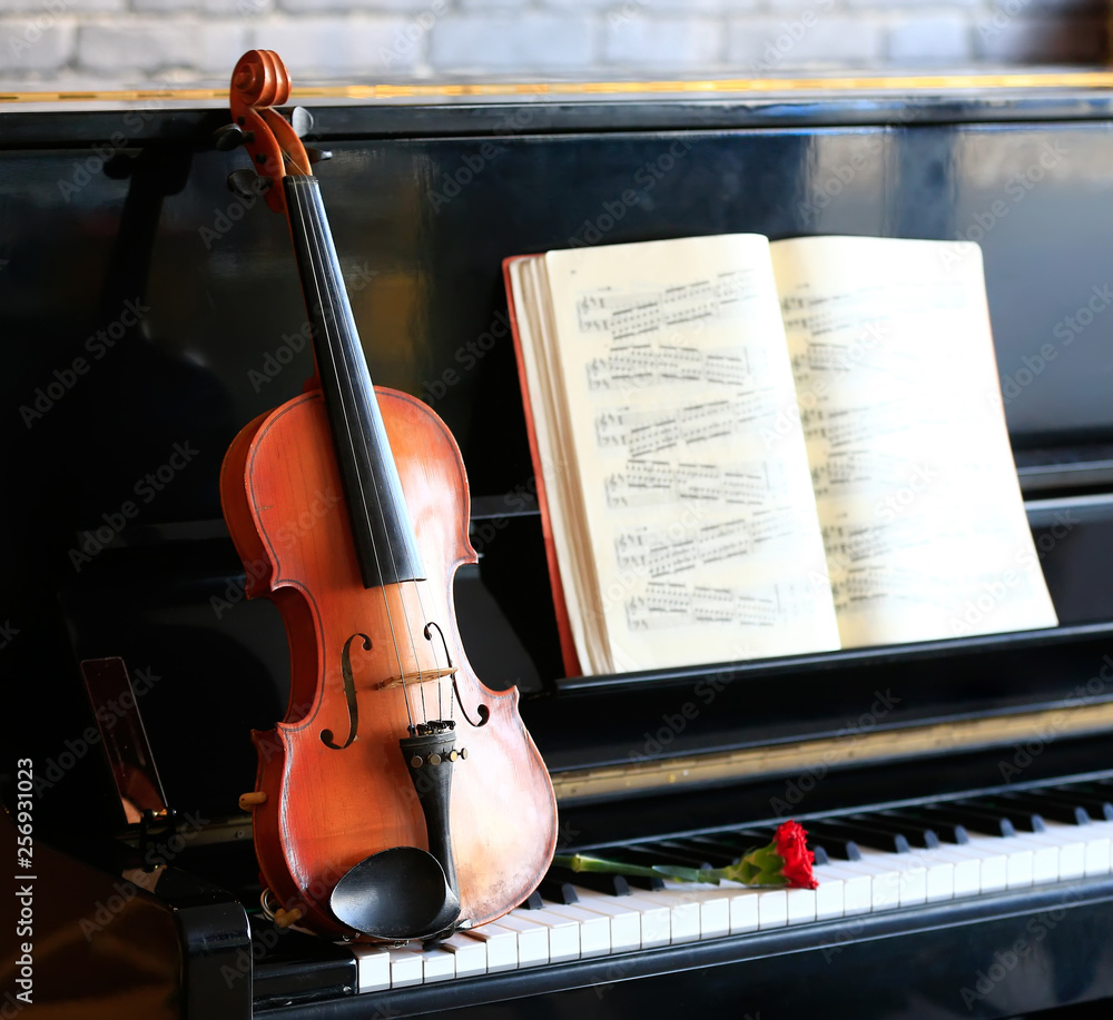 Naklejka premium Violin and piano, indoors