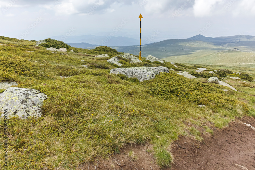 Panorama with green hills of Vitosha Mountain from Cherni Vrah Peak, Sofia City Region, Bulgaria Panorama with green hills of Vitosha Mountain from Cherni Vrah Peak, Sofia City Region, Bulgaria