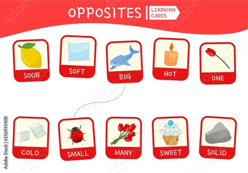 Matching children educational game. Match of opposites. Activity for pre sсhool years kids and toddlers.