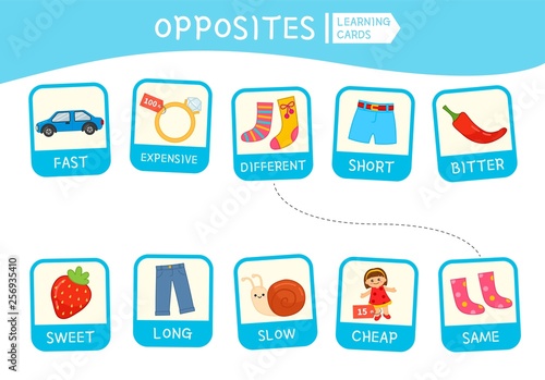 Matching children educational game. Match of opposites. Activity for pre sсhool years kids and toddlers.