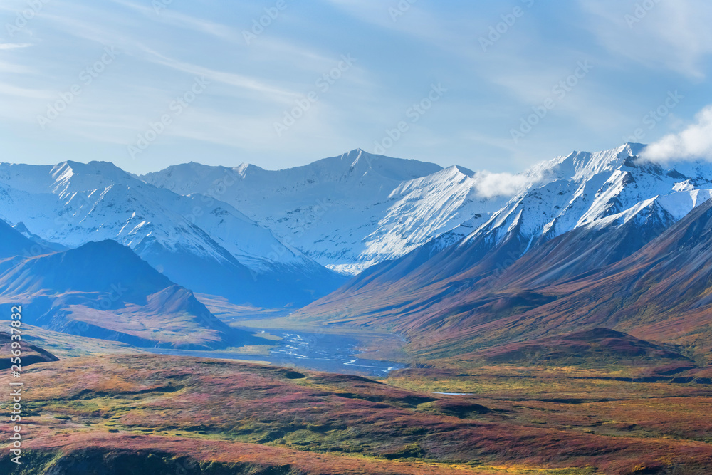 アラスカ デナリ国立公園(マッキンレー) Denali National Park