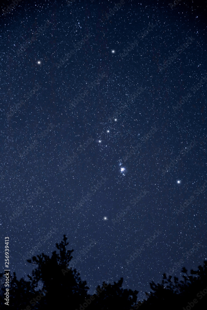 Naklejka premium オリオン座とM42星雲 Orion and M42 nebula