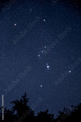 オリオン座とM42星雲 Orion and M42 nebula