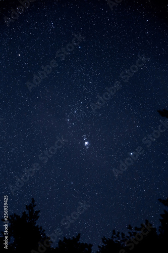                   M42       Orion and M42 nebula