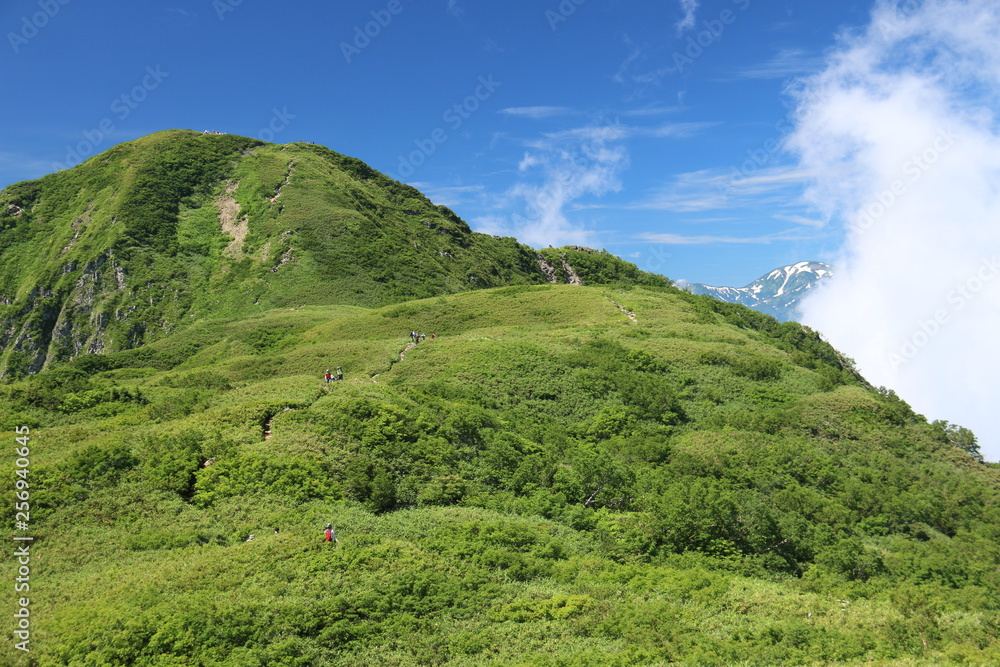 Fototapeta premium 雨飾山 山頂への道 笹平と山頂のある風景