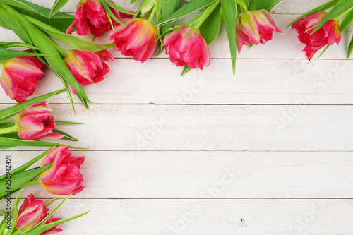 Corner border of pink tulip flowers against a white wood background. Copy space.