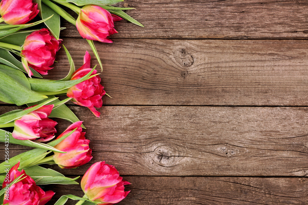 Side border of pink tulip flowers against a rustic dark wood background with copy space