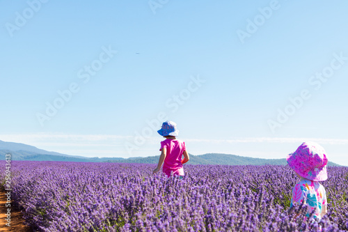 Children in a field of lavender wearing hats Tasmania Australia