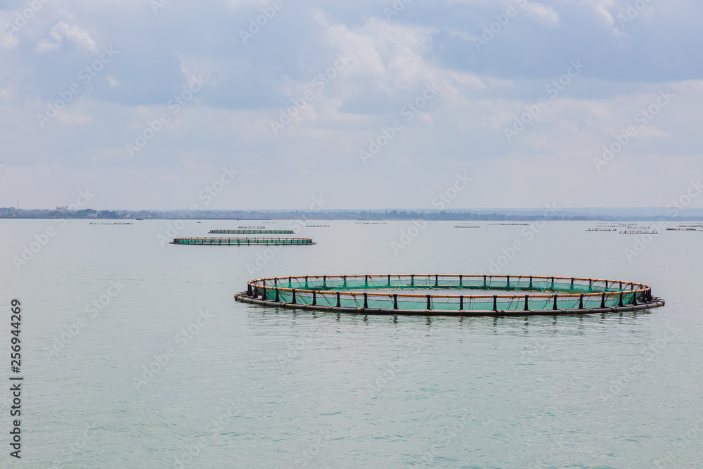 Fototapeta premium 養殖生簀