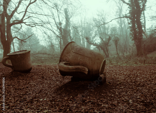 Slieve Gullion Forest Park Ireland photo