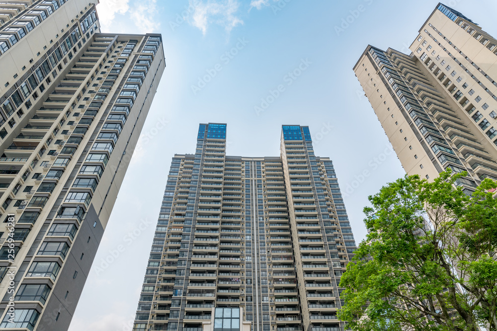 Fototapeta premium Buildings in Zhanjiang City