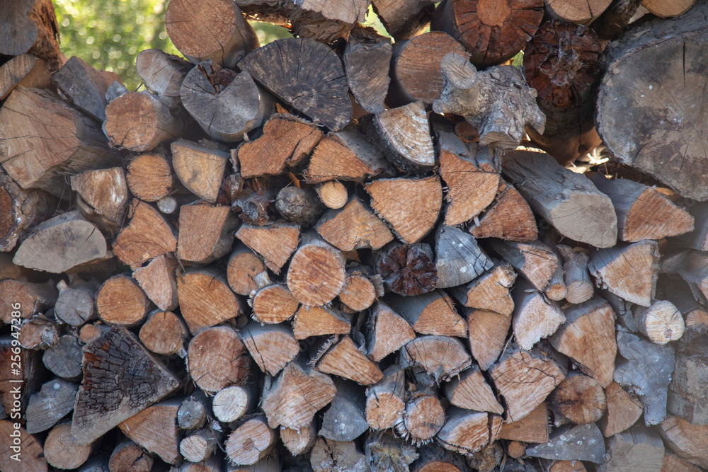 madera madera