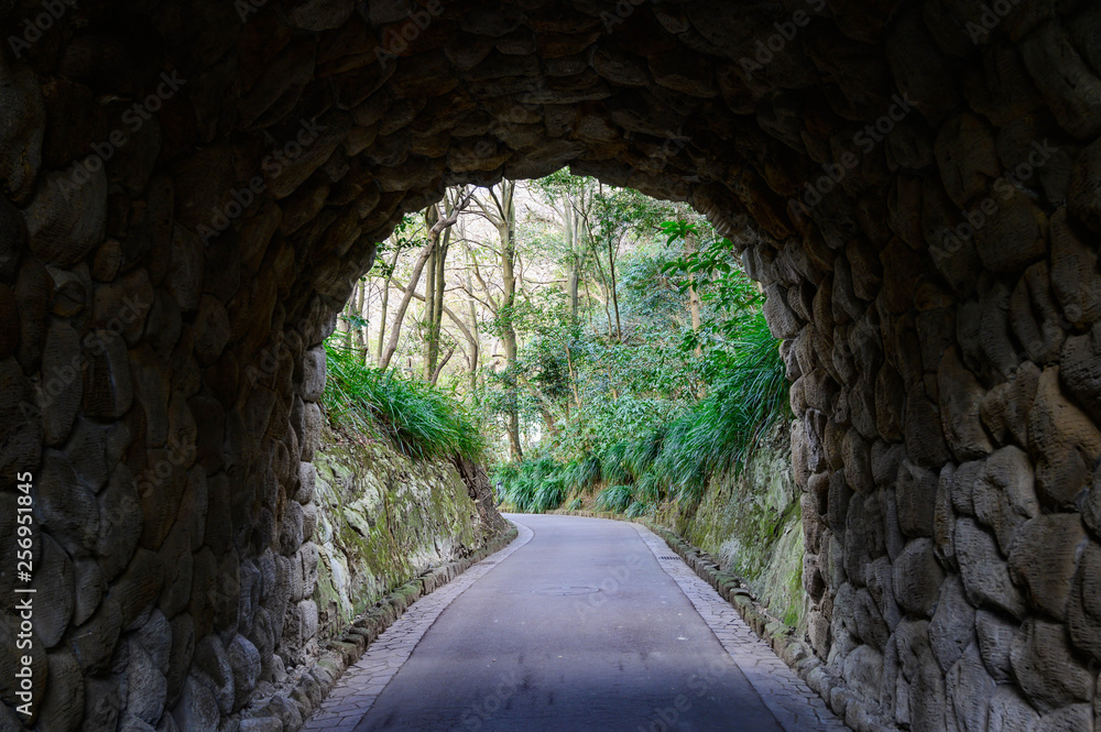 Obraz premium トンネルの先