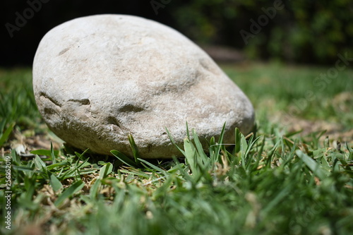 Close up de roca blanca sobre pasto verde y amarillo