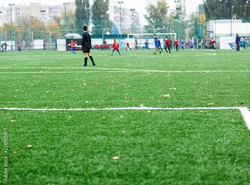 Boys in red white blue sportswear running on soccer field. Young footballers dribble and kick football ball in game. Training, active lifestyle, sport, children activity concept © Natali