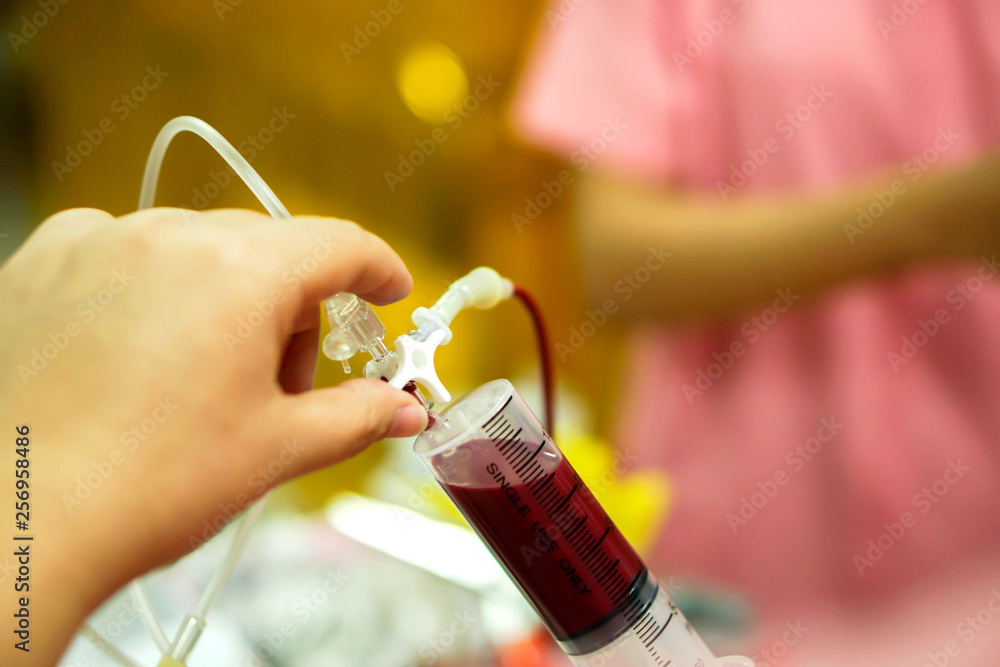 Nurse hands is adjusting the syringe to draw blood from the blood bag