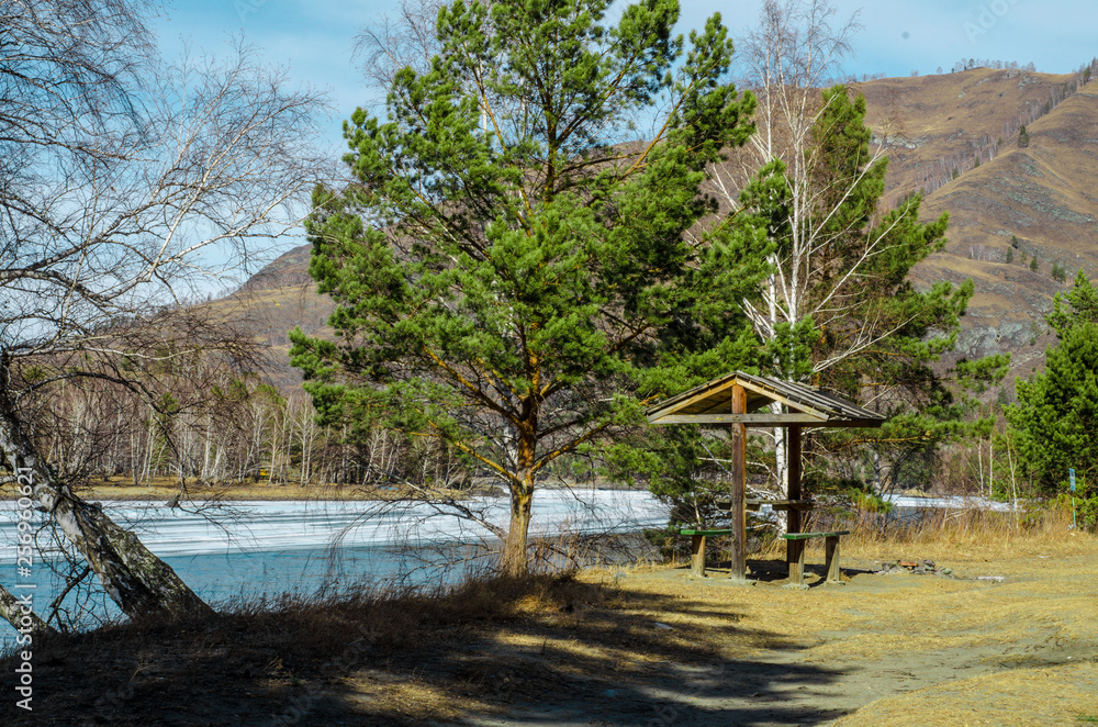 nature of the Altai mountains in Chemal district nature of the Altai mountains in Chemal district