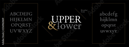 Elegant alphabet letters font set. Classic Custom Lettering Designs. Typography regular fonts uppercase and lowercase. vector illustration