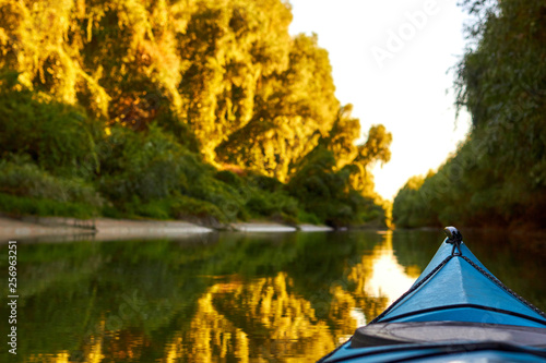 Prow (bow, nose) of blue kayak against of overgrown green thick thickets of trees and wild grapes illuminated by the rays of the setting sun at the shoreline of Danube river