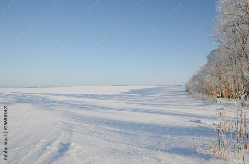 winter landscape with trees and snow winter landscape with trees and snow