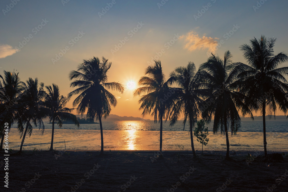 Sunset, Beautiful Silhouette Sweet coconut palm trees farm against background in Tropical island Thailand. fresh coconut on trees at Andaman sea, Ranong estuary, Thailand :Vintage tone, Warm tone