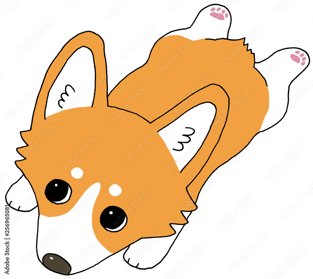 ウェルシュ コーギー 伏せ Stock イラスト Adobe Stock