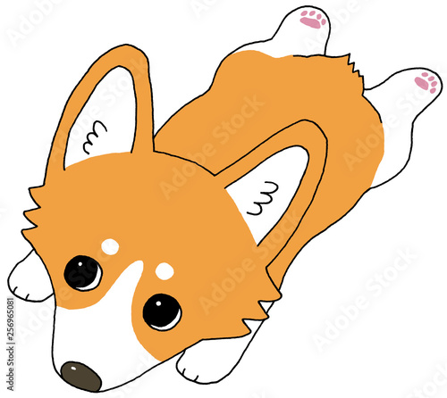 ウェルシュ コーギー 伏せ Stock イラスト Adobe Stock ウェルシュ コーギー 伏せ Stock イラスト Adobe Stock