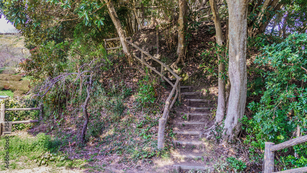 館山城 城 風景 景色 観光名所 観光 名所 歴史 文化 史跡 空 日本 関東 千葉県 千葉 館山市 館山 緑 樹木 自然 青空 春 Stock 写真 Adobe Stock 館山城 城 風景 景色 観光名所 観光 名所 歴史 文化 史跡 空 日本 関東 千葉県 千葉 館山市 館山 緑 樹木 自然 青空 春 Stock 写真 Adobe Stock
