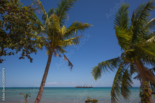Coconut palm trees in the wind a ship with cranes anchoring in the blue sea under a cloudless sky