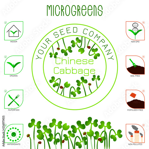 Microgreens Chinese Cabbage. Seed packaging design, text, icons photo