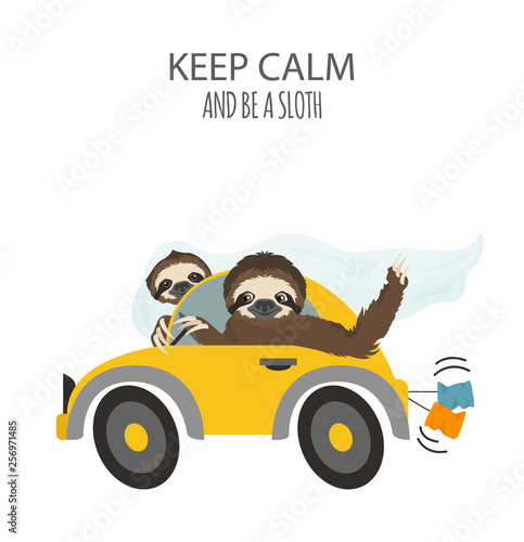 The story of one sloth. Love, wedding, honeymoon. Funny cartoon sloths in different postures set