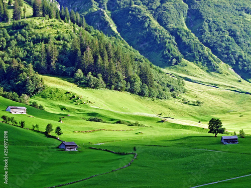 Alpine pastures and meadows in the Sernftal valley - Canton of Uri, Switzerland photo