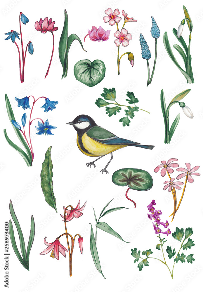 Watercolor set with bird and flowers. Watercolor set with bird and flowers.