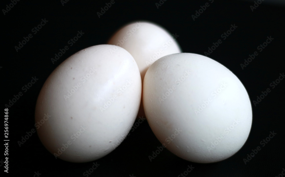 Kampung chicken eggs or telur ayam kampung on black background. Kampung chicken eggs or telur ayam kampung on black background.