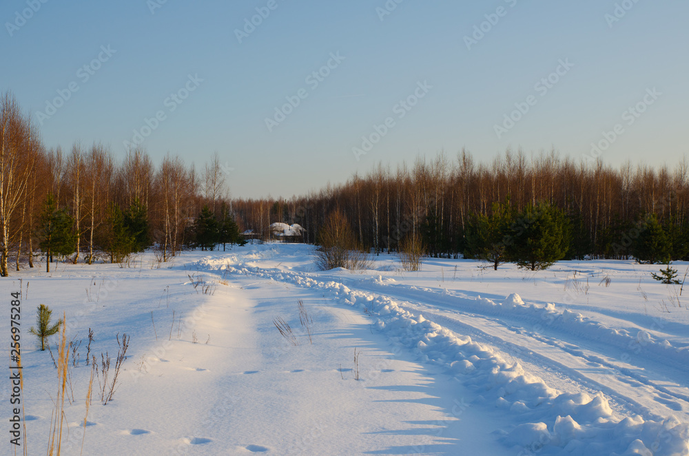 winter landscape with road and trees
