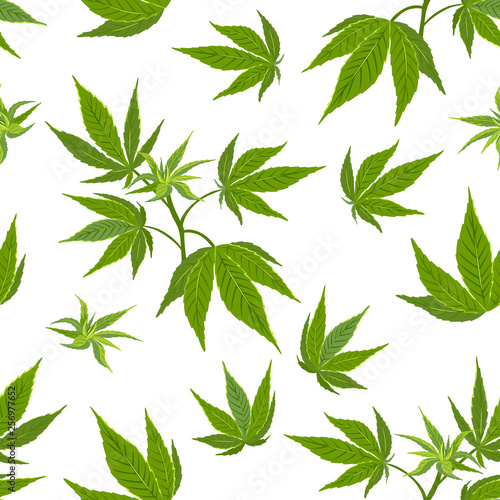 Cannabis leaves seamless pattern on white background. Vector illustration of green hemp in cartoon simple flat style.