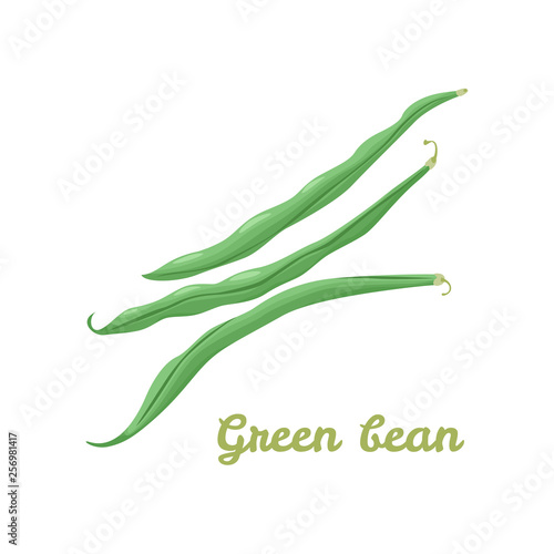 Vector illustration of green bean pods.  Flat icon isolated on white. Vegetable.