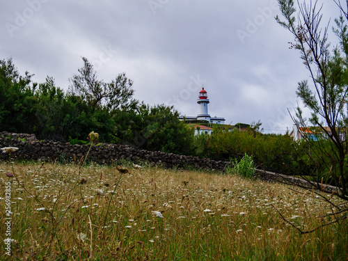Image of red and white lighthouse during day time