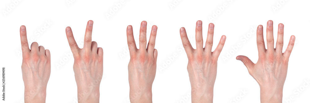 Male hands counting from one to five isolated on white background Male hands counting from one to five isolated on white background