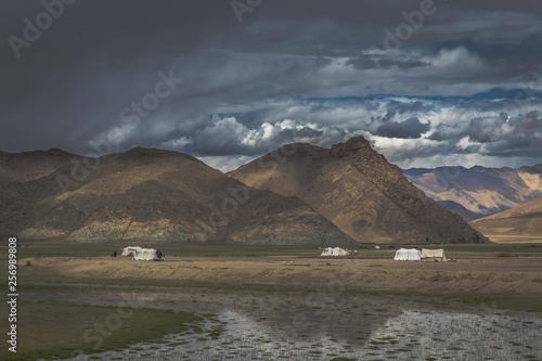 Photography Wildlife photography in Ladakh