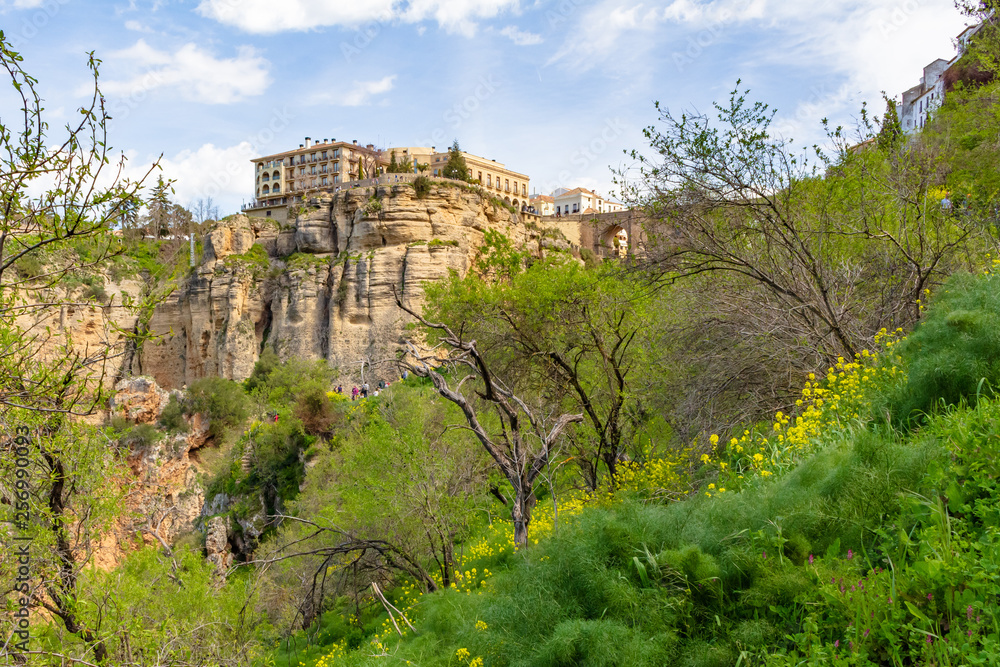 Fototapeta premium Cliffs of the city of Ronda
