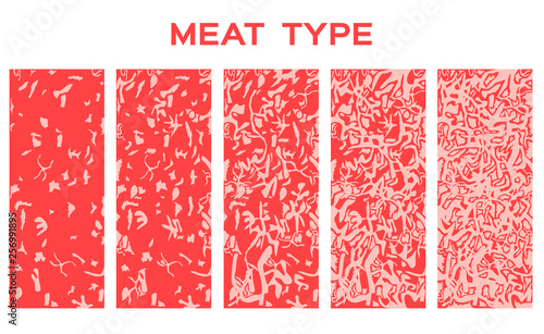 5 beef grade type with juicy fat . premium - Vector