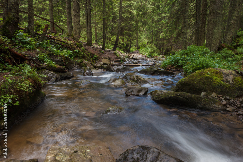 Mountain stream in the woods. Carpathians Mountain stream in the woods. Carpathians