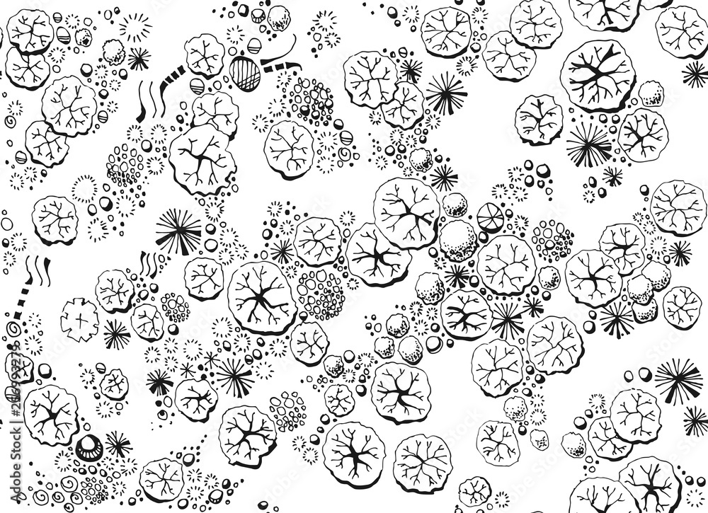 Black and white seamless pattern with forest top view. Different trees and plants. Hand drawn vector illustration.